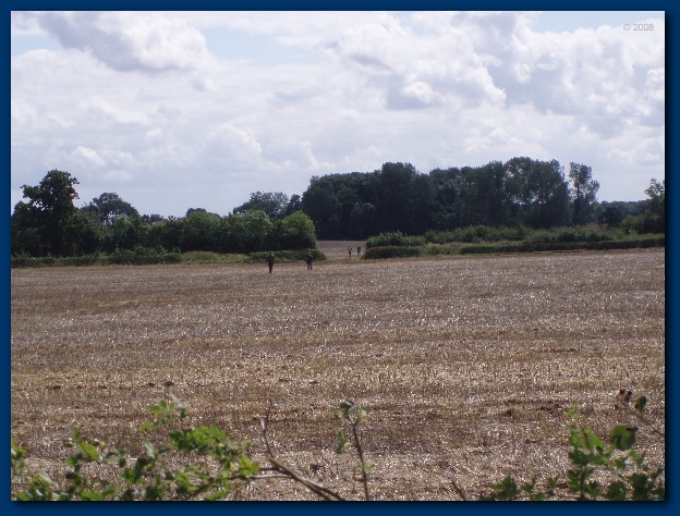 600x449 pixels (143K)